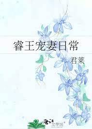 睿王寵妻日常
