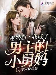 退婚後,我成了男主的小舅媽 退婚後,我成了男主的小舅媽