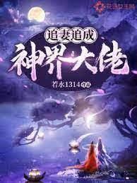 追妻追成神界大佬 追妻追成神界大佬