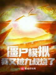 殭屍模擬,我又被九叔燒了 殭屍模擬,我又被九叔燒了