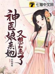 神醫娘親她又想和離了 神醫娘親她又想和離了