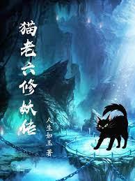 老王的秘密日記