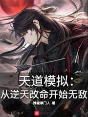 天道模擬：從逆天改命開始無敵