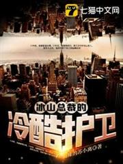 冰山總裁的冷酷護衛 冰山總裁的冷酷護衛