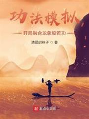 功法模擬:開局融合龍象般若功 功法模擬:開局融合龍象般若功