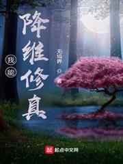 我能降維修真 我能降維修真