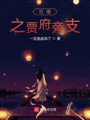 紅樓之賈府旁支 紅樓之賈府旁支