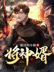 將神婿 將神婿