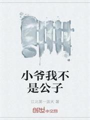 小爺我不是公子
