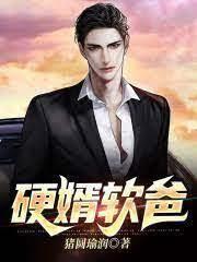 硬婿軟爸 硬婿軟爸