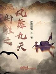 射鵰之風舞九天