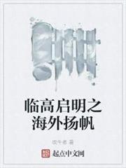 臨高啟明之海外揚帆 臨高啟明之海外揚帆