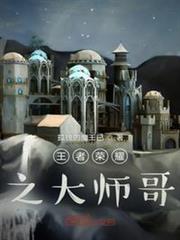 王者榮耀之大師哥