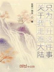 關於我走遍大陸只為飛升這件事
