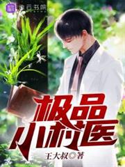 極品小村醫 極品小村醫