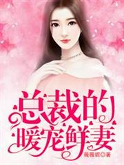 總裁的暖寵鮮妻 總裁的暖寵鮮妻