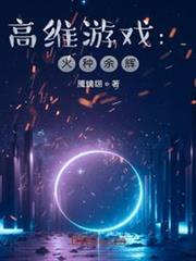 高維遊戲:火種餘輝 高維遊戲:火種餘輝