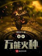 我的萬能火種 我的萬能火種
