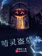精靈盜墓者 精靈盜墓者