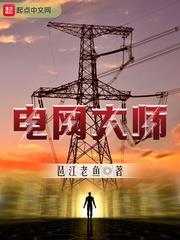 電網大師 電網大師