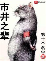 市井之輩 市井之輩