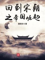 回到宋朝之帝國崛起 回到宋朝之帝國崛起