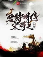 唐時明月宋時關 唐時明月宋時關