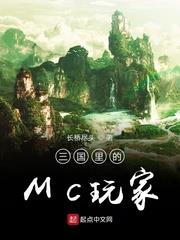 三國里的MC玩家 三國里的MC玩家