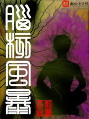 腦核風暴 腦核風暴