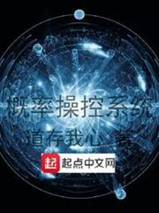 概率操控系統 概率操控系統