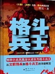 格鬥兵王3 格鬥兵王3