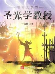 霍格沃茨的聖光學教授 霍格沃茨的聖光學教授