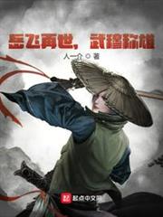 岳飛再世,武穆稱雄 岳飛再世,武穆稱雄