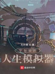 宇智波的人生模擬器 宇智波的人生模擬器