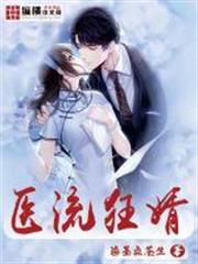 醫流狂婿 醫流狂婿