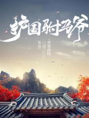 護國駙馬爺 護國駙馬爺