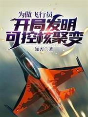 為做飛行員,開局發明可控核聚變 為做飛行員,開局發明可控核聚變