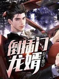 倒插門龍婿 倒插門龍婿