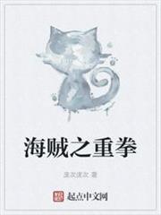 海賊之重拳 海賊之重拳