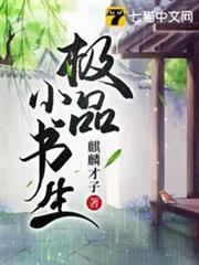 極品小書生 極品小書生