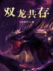 雙龍共存 雙龍共存