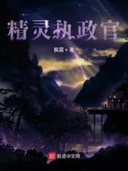 精靈執政官 精靈執政官