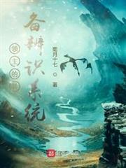 領主的裝備辨識系統 領主的裝備辨識系統