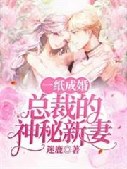 總裁的神秘新妻 總裁的神秘新妻