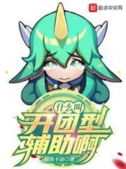 什麼叫開團型輔助啊 什麼叫開團型輔助啊