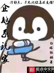 企鵝系玩家 企鵝系玩家