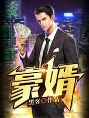 豪婿 豪婿