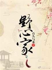 野心家 野心家