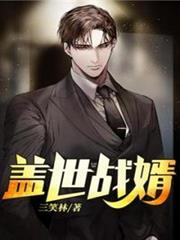 蓋世戰婿 蓋世戰婿