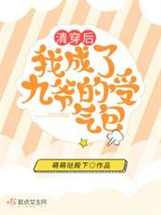 清穿後我成了九爺的受氣包